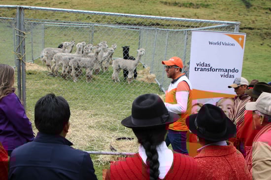Inauguración Primer Centro de Mejoramiento Genético de Alpacas (16) (1)